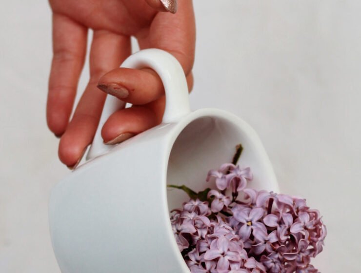 Foto: Cortesía Pexels