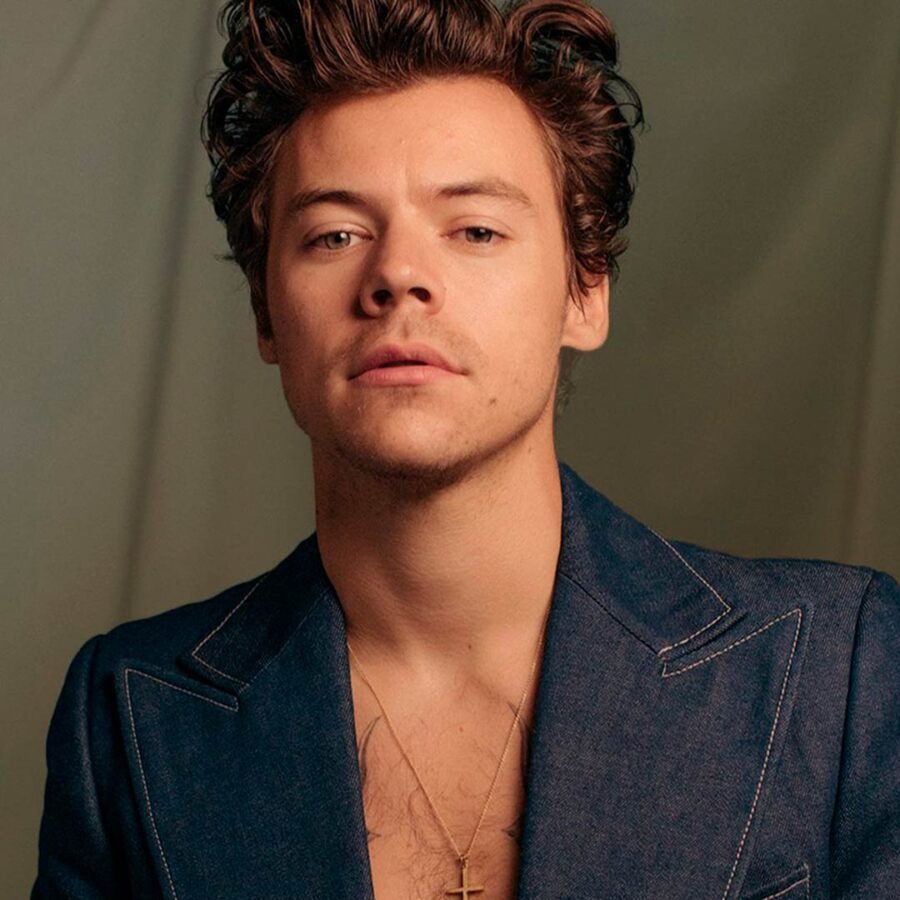 Harry Styles revive los suéteres tejidos