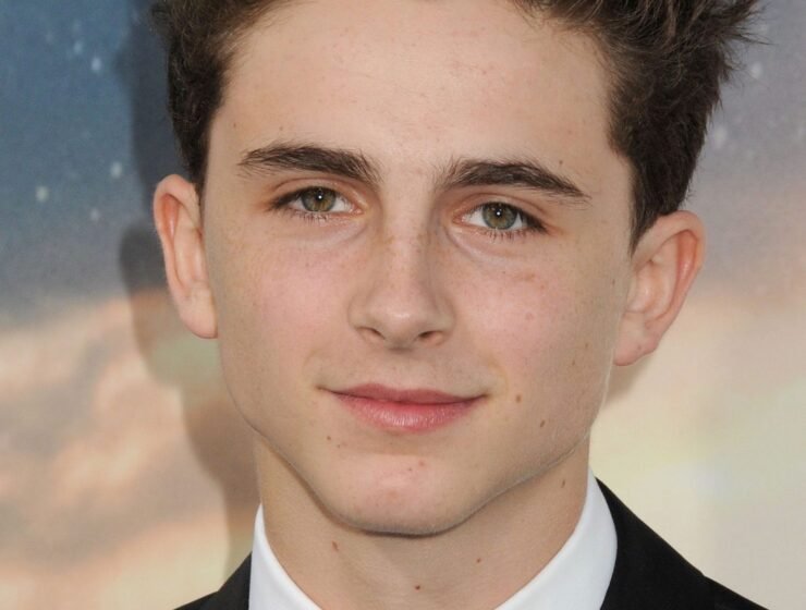 Timothée Chalamet cartier