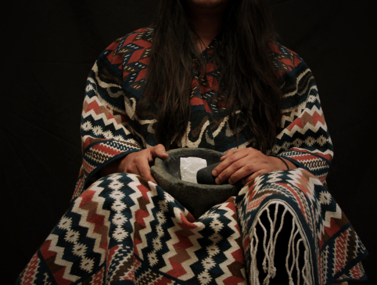 Ignacio Netzahualcoyotl