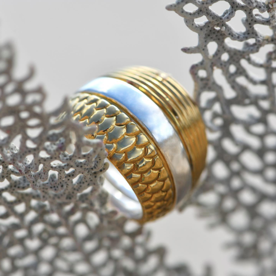 TANE MUAC EXPOSICIÓN DE PLATA