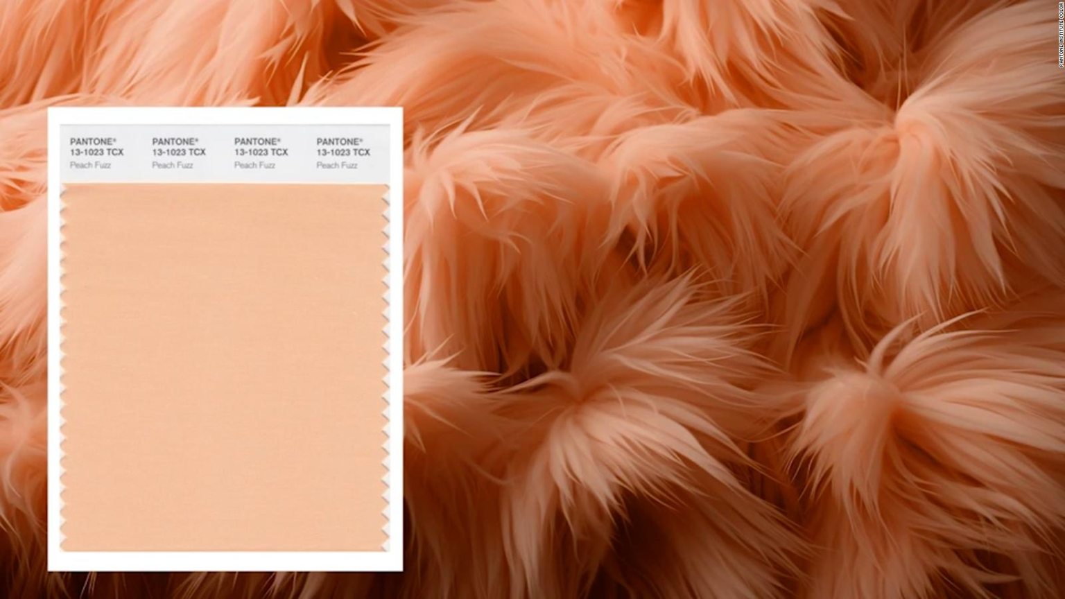 Peach Fuzz C Mo Por Qu Y Cu L Es El Color Del A O 2024 Noir Magazine   El Color Pantone De 2024 Se Llama Peach Fuzz 1536x864 