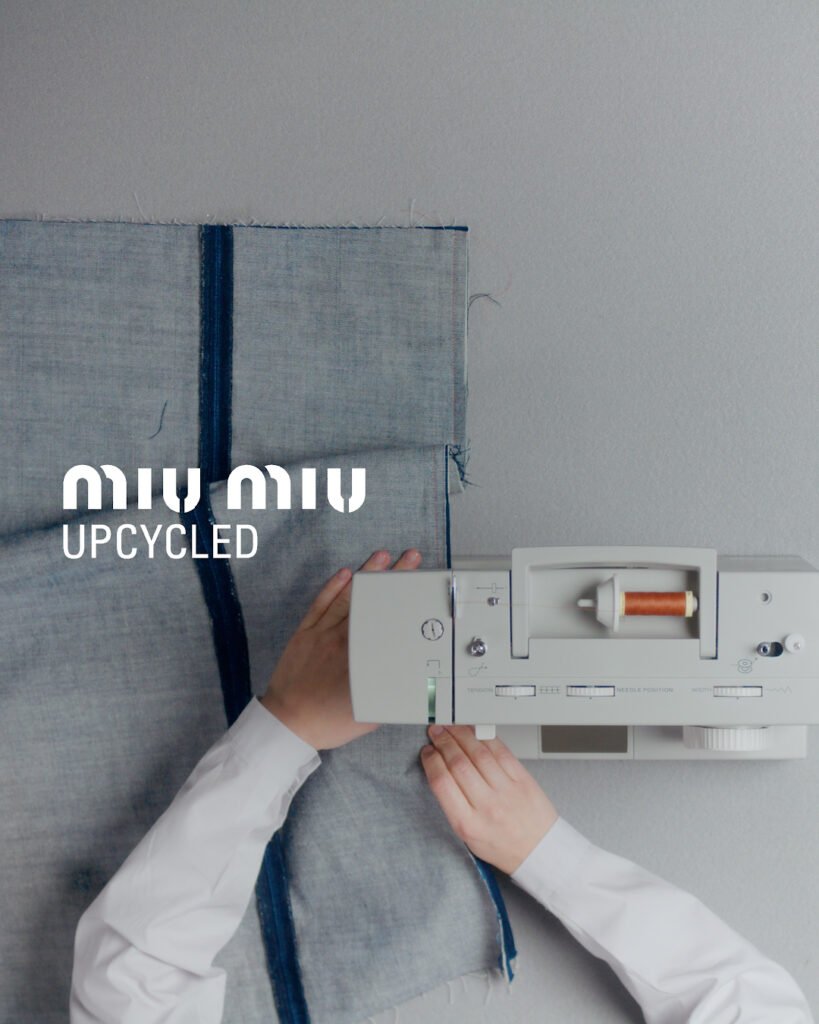 miu miu a rationale of beauties