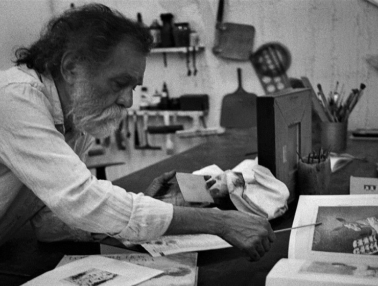 Francisco Toledo_ Noir