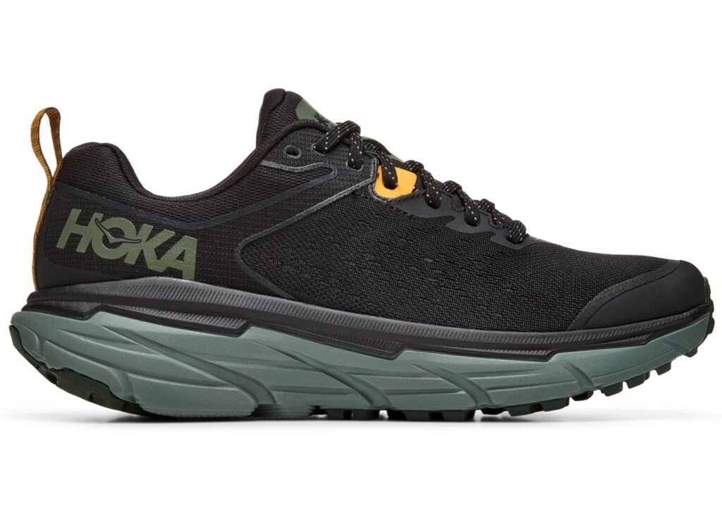 Hoka One One Challenger ATR. 