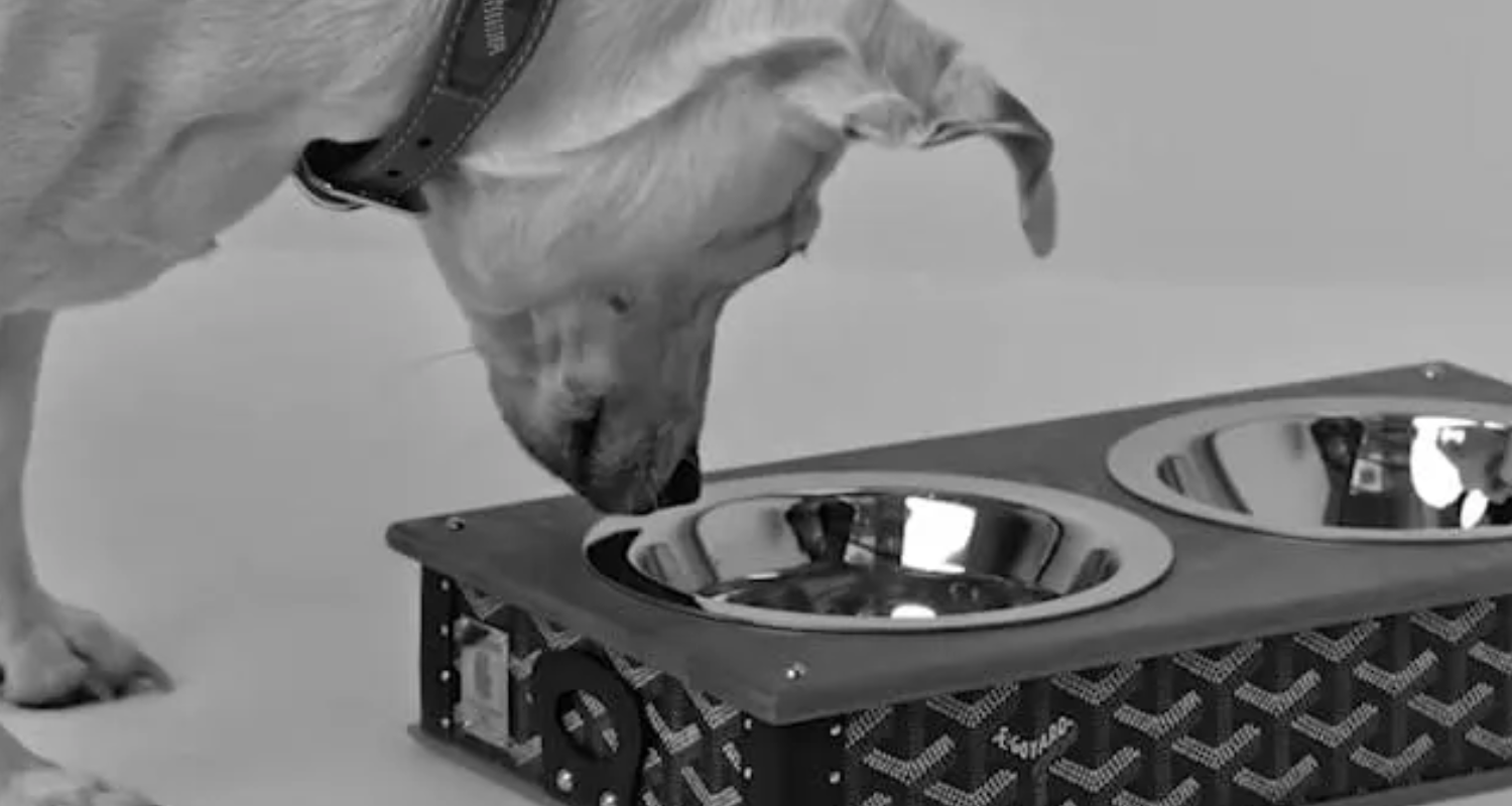 Dog Collars Goyard Dog Carrier Price Wide Dog Collars Luxury