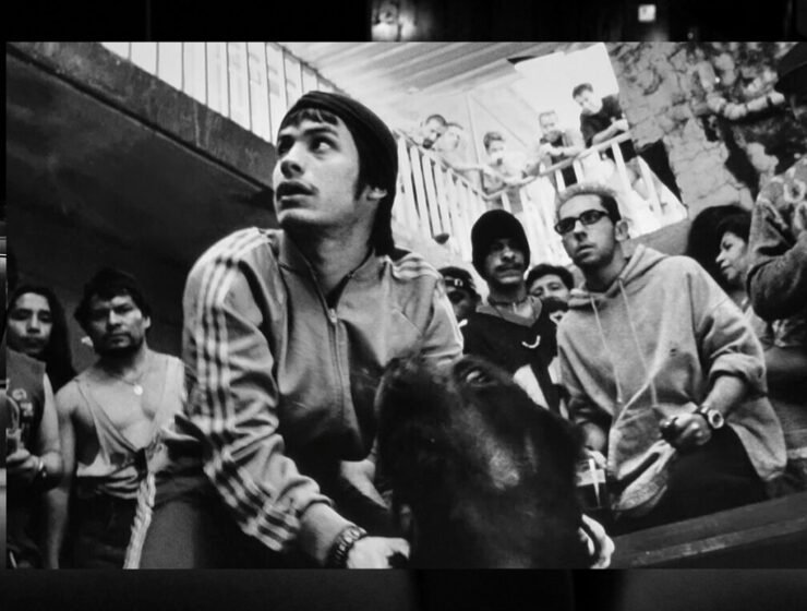 Amores Perros Cannes 2025