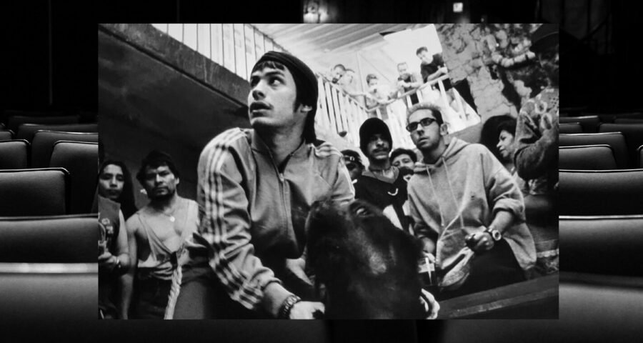 Amores Perros Cannes 2025