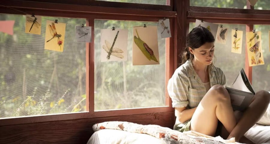 La Chica Salvaje Desde los pantanos del sur, una historia de amor, crimen y resistencia