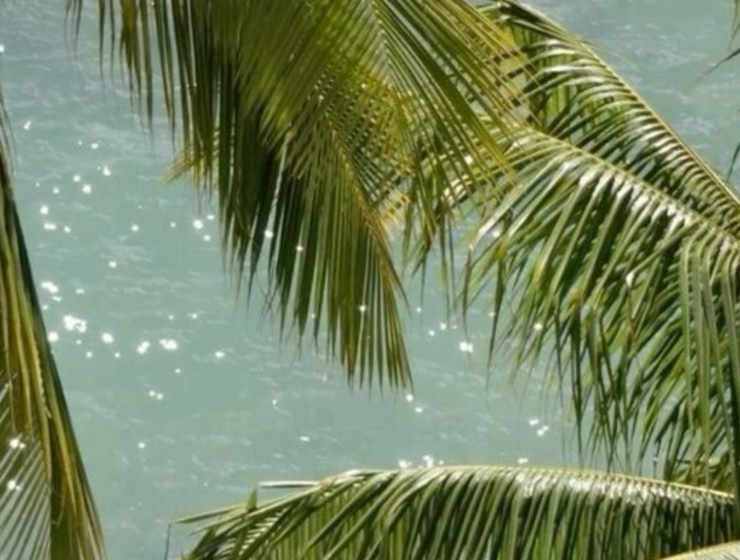 Guía estacional mexicana: fechas, clima y encanto en cada región