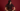 The Gucci Portrait Series: campaña FW25 que celebra la identidad