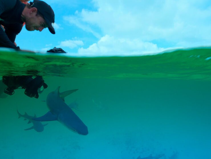 Foto cortesía de Netflix