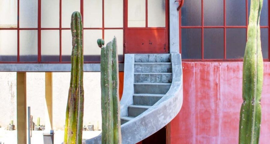 Noche Museos Agosto 2025 CDMX: Fechas y Actividades