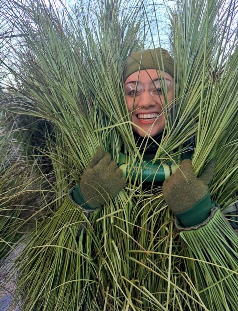Las personas pasto del Halftime Show de Bad Bunny