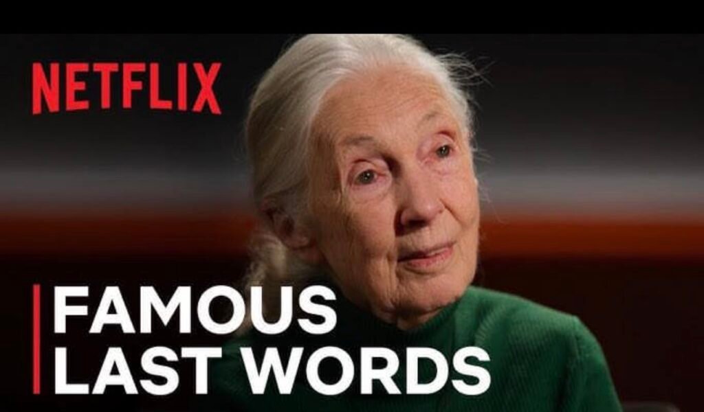 Famous Last Words en Netflix: de qué trata y highlights