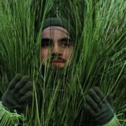 Las personas pasto del Halftime Show de Bad Bunny