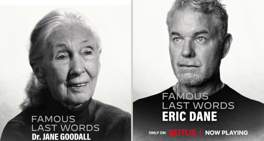 Famous Last Words en Netflix: de qué trata y highlights