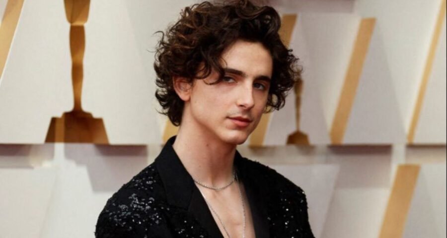 Timothée Chalamet genera polémica por comentario sobre ballet y ópera