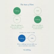 ¿Qué significa 'reach flow state'?