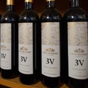 Casa madero x Altazor Intellinge: La AI te dice como elegir tu vino